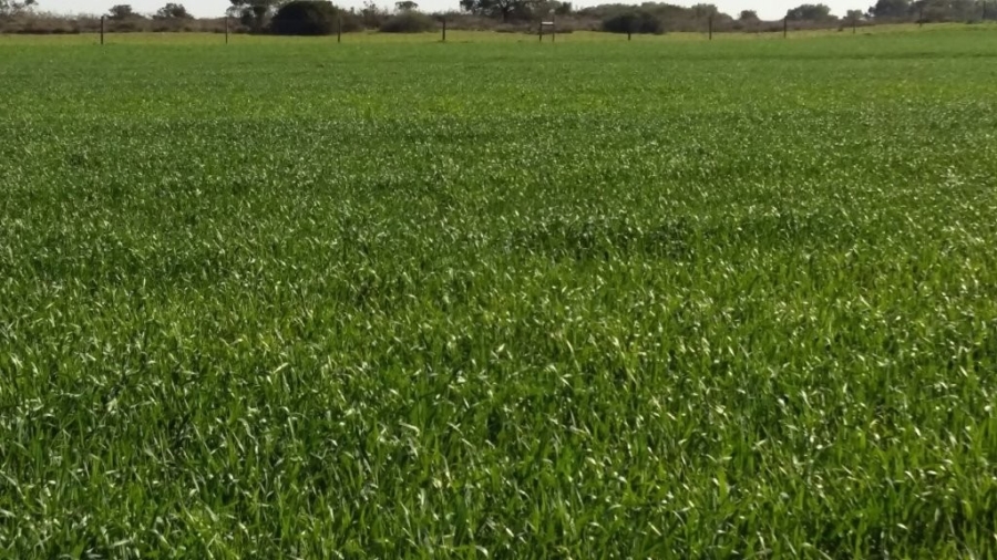 3 Bedroom Property for Sale in Hopefield Rural Western Cape